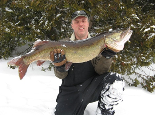 Glen Raymond, of Caribou, Maine won the 2011 Statewide Ice Fishing Derby with this Muskie weighing 23.69 pounds and measuring 43 inches long