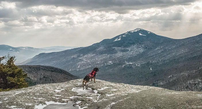 Dog lover's guide to Maine slopes