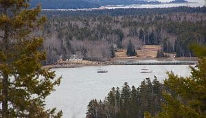 5 Can't Miss Hikes Downeast by Johanna S. Billings