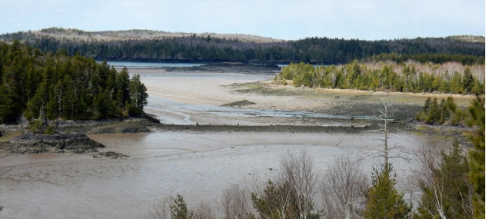 Klondike Mountain Preserve. Photo: Carey Kish