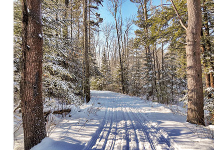 Groomed trails at Smiling Hill Farm make for great classical XC skiing. 